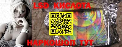 ГАЛЛЮЦИНОГЕННЫЕ ГРИБЫ Кулебаки