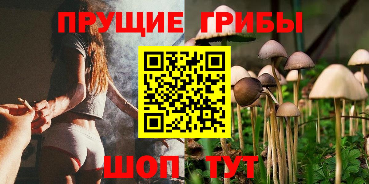 A PVP Елец