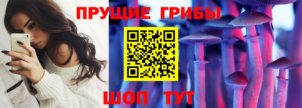 Елец  Галлюциногенные грибы Magic Shrooms  Вход с VPN  Галлюциногенные грибы Cubensis 