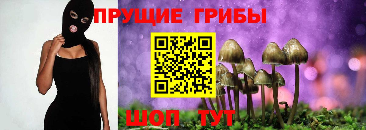 Псилоцибиновые грибы Cubensis Елец